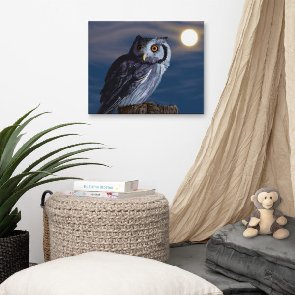 "Zelda" the owl on canvas - Image 4