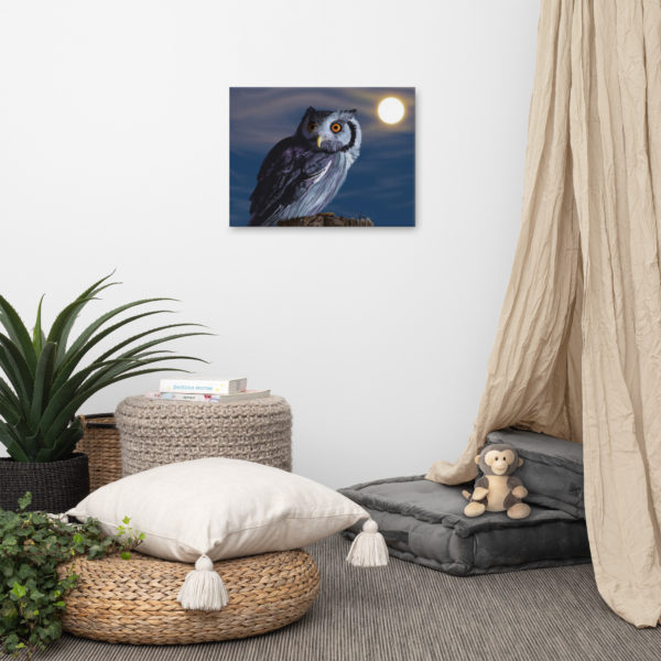 "Zelda" the owl on canvas - Image 2