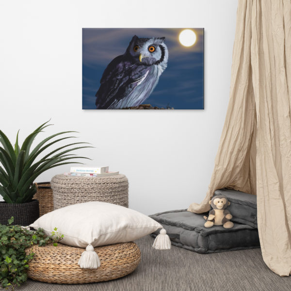 "Zelda" the owl on canvas