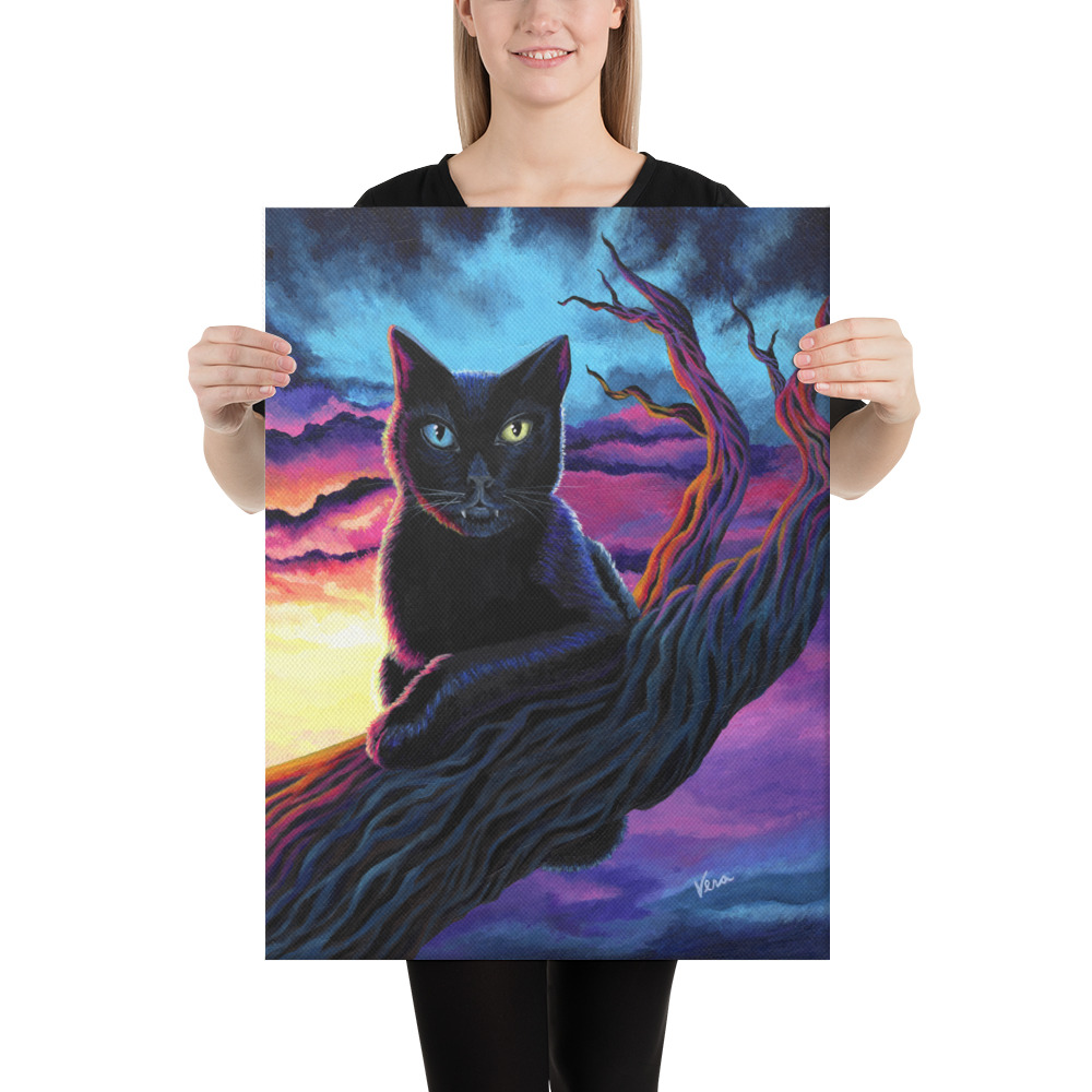 "Salem" black cat in a tree during sunset - Image 6